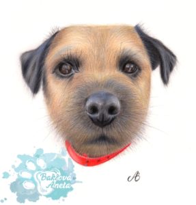 kreslený portrét psa