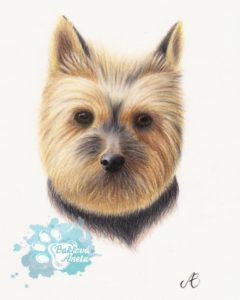 kreslený portrét psa