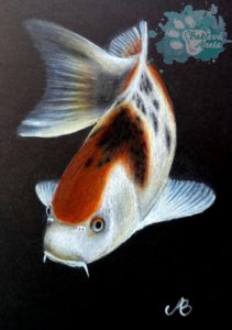 portrét ryby