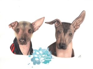 kreslený portrét psů