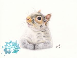 kreslený obraz veverky