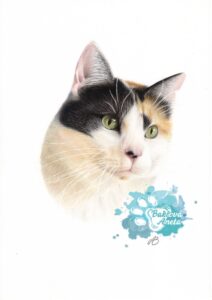 kreslený portrét kočky